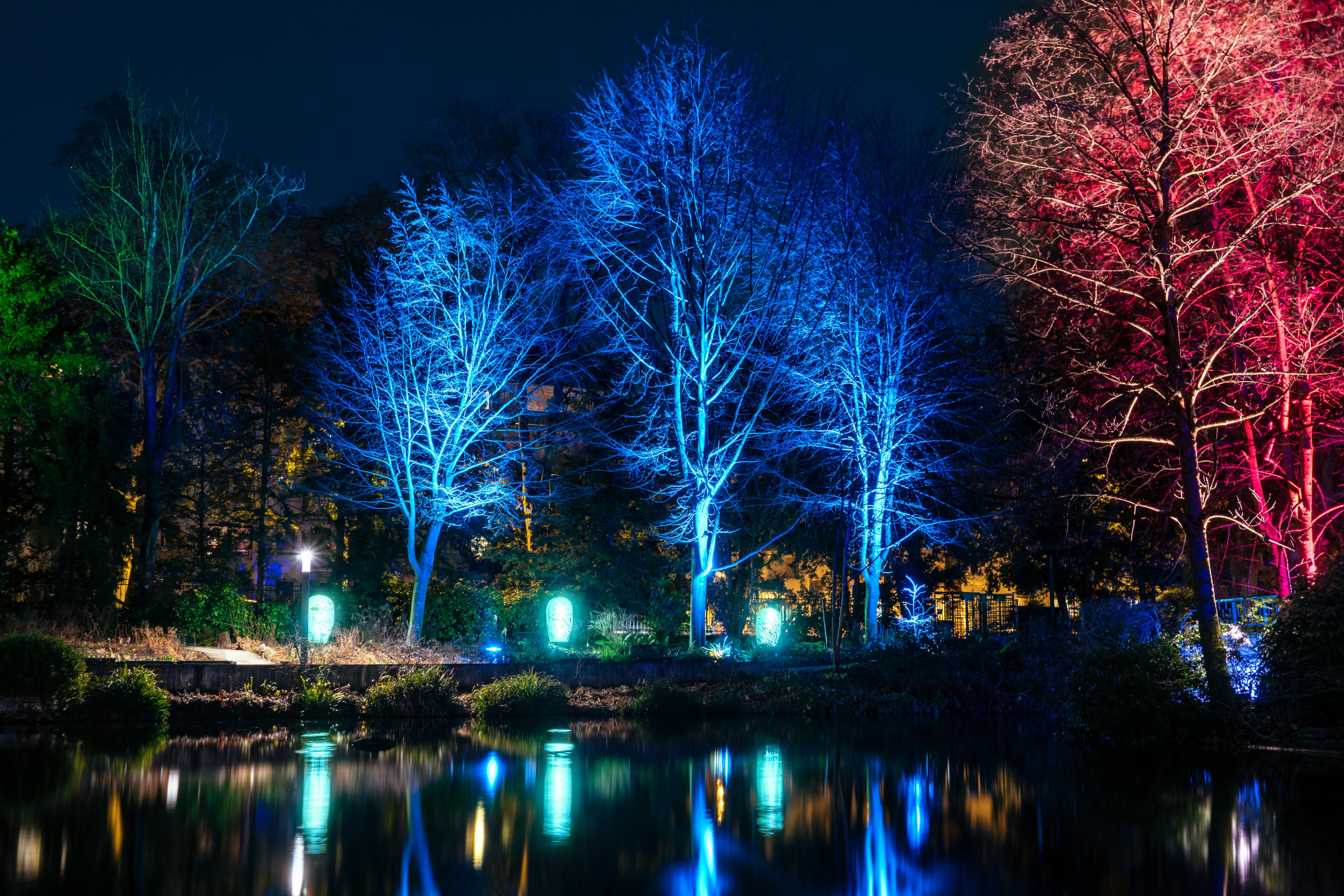 2019-01-Frankfurt-Palmengarten-Winterlichter009.JPG