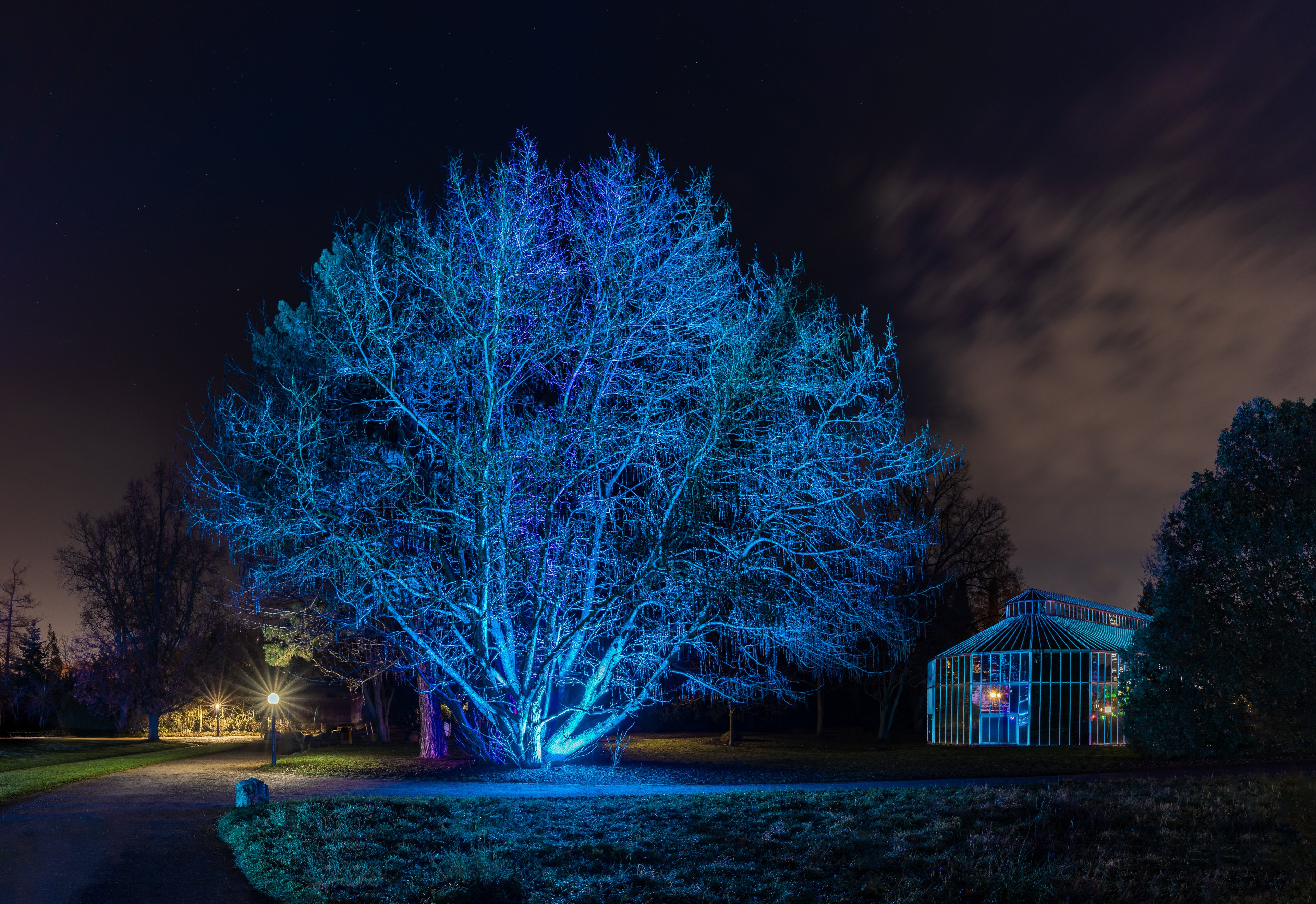 2020-01-Frankfurt-Palmengarten-Winterlichter005.JPG