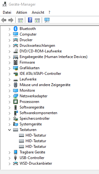2021-03-23 20_17_59-Geräte-Manager.png