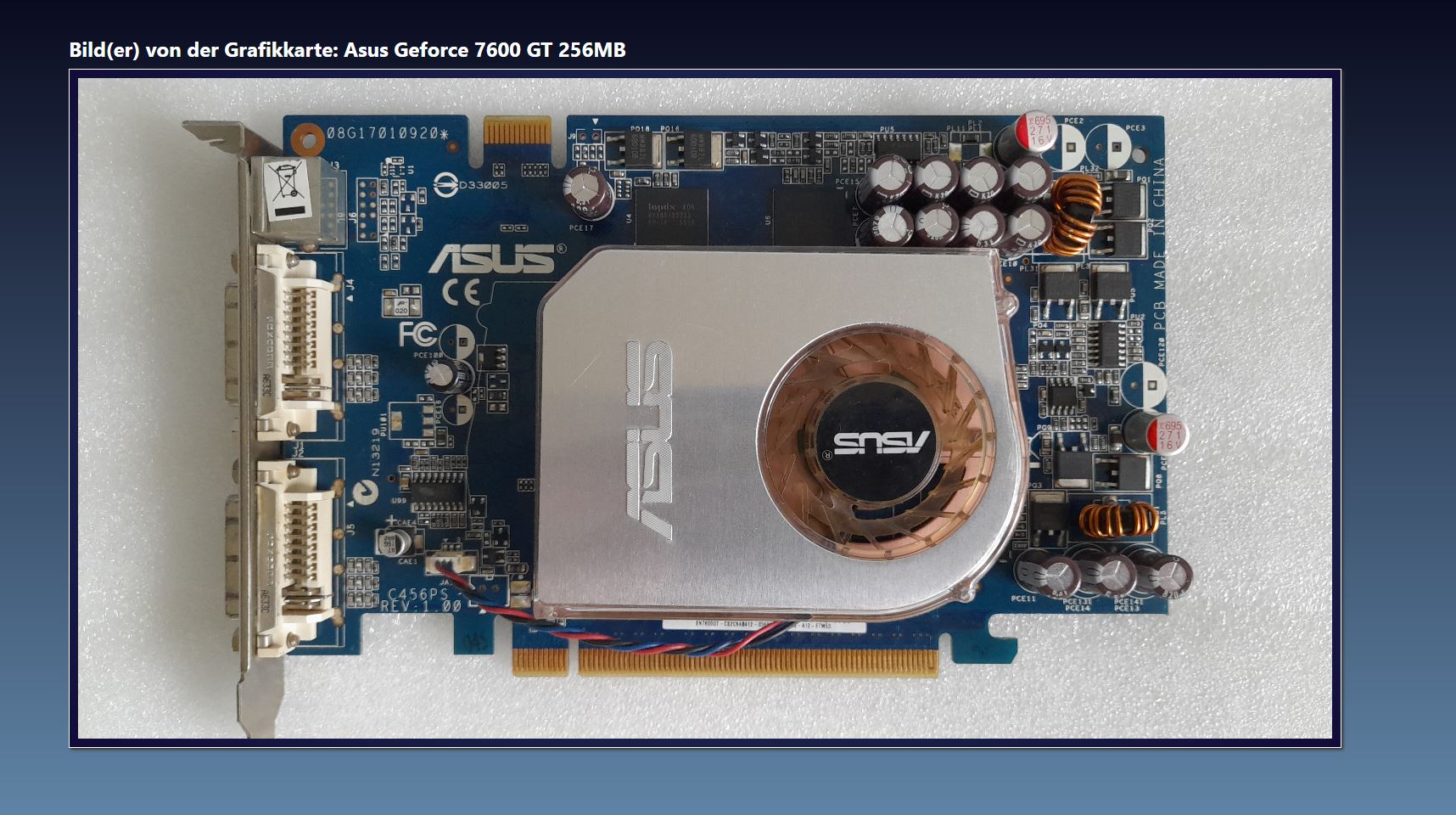 Asus Geforce 7600 GT 256 MB.JPG