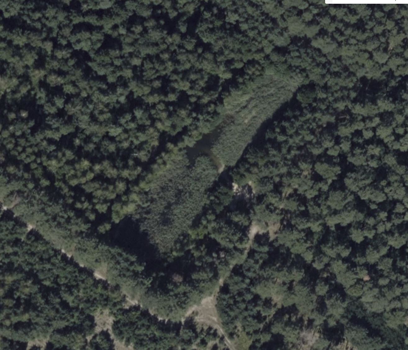 Baggersee im Wald Nähe Grünheide - Bing Maps.jpg