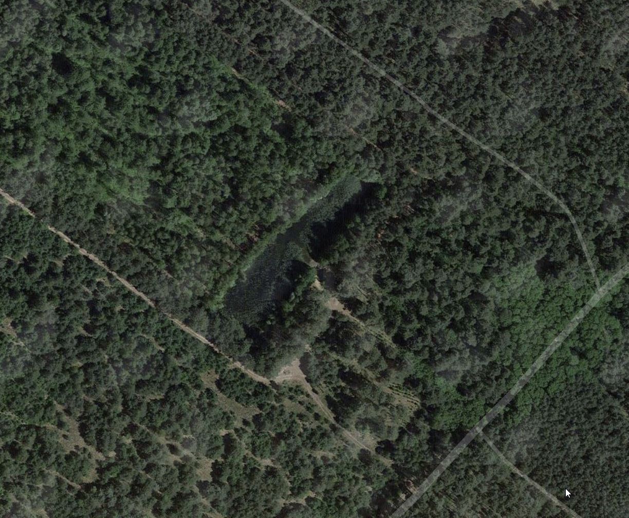 Baggersee im Wald Nähe Grünheide - Google Maps Satellit.jpg