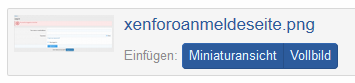 bilddateieinbindenvollbildminiaturansichtalt.png