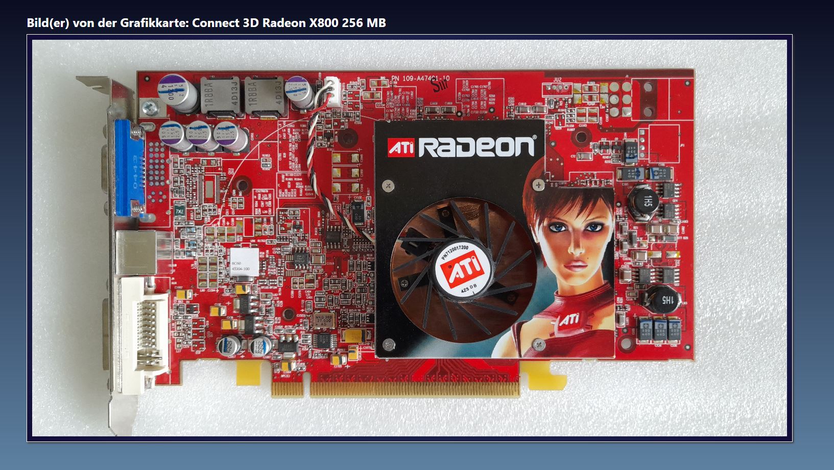 Connect 3D Radeon X800 256 MB.JPG