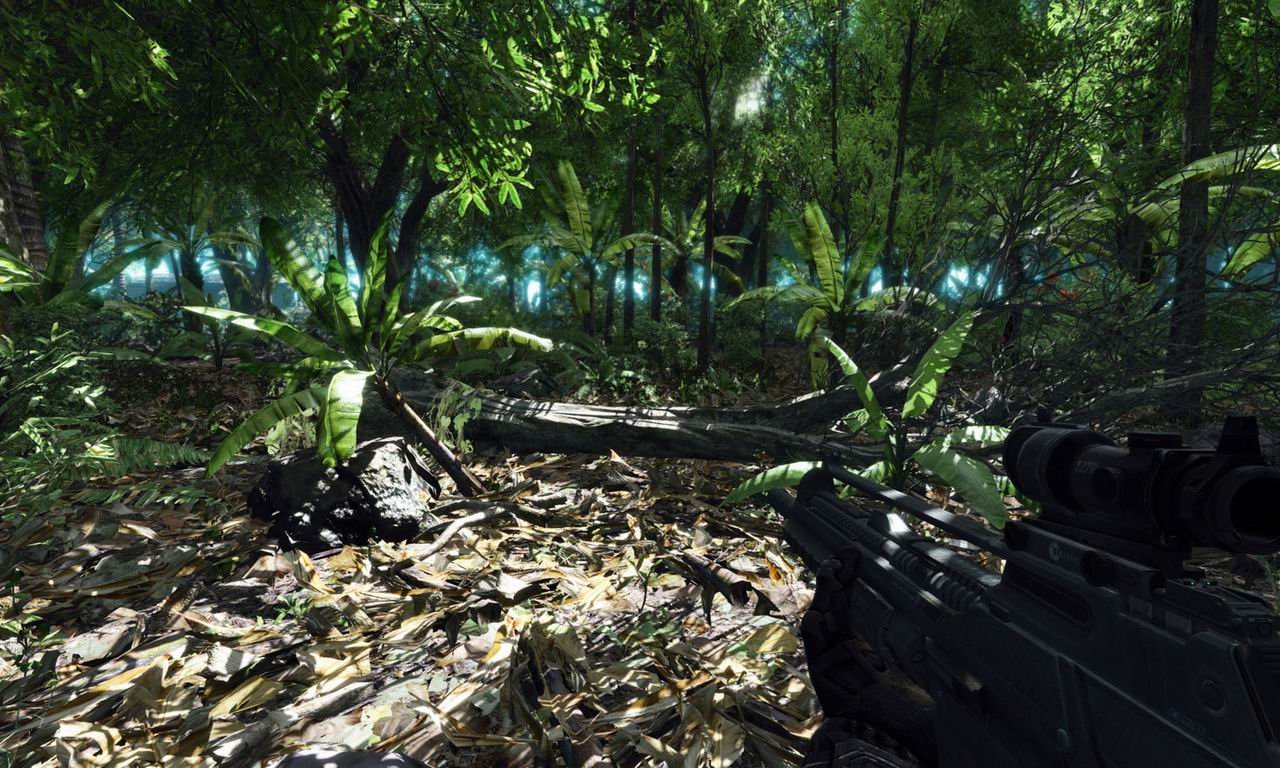 Ваши игровые. Crysis 1 Ultra Graphics. Крайзис 1 ФПС. Крайсис бателфилд. Крайзис 1 джунгли.