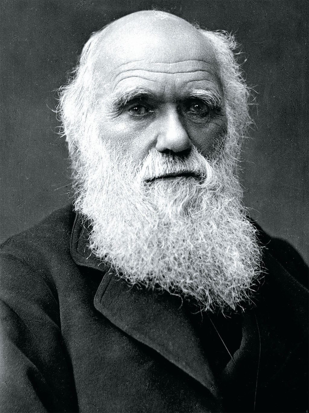 darwin.jpeg