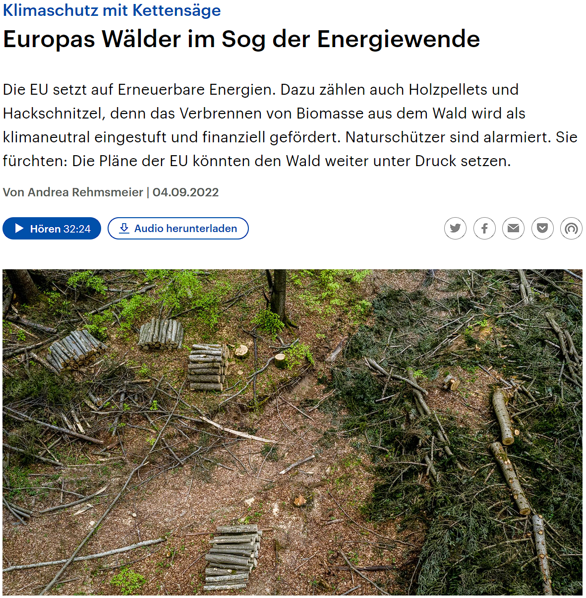 europas_wälder_biomasse_verstromung.png