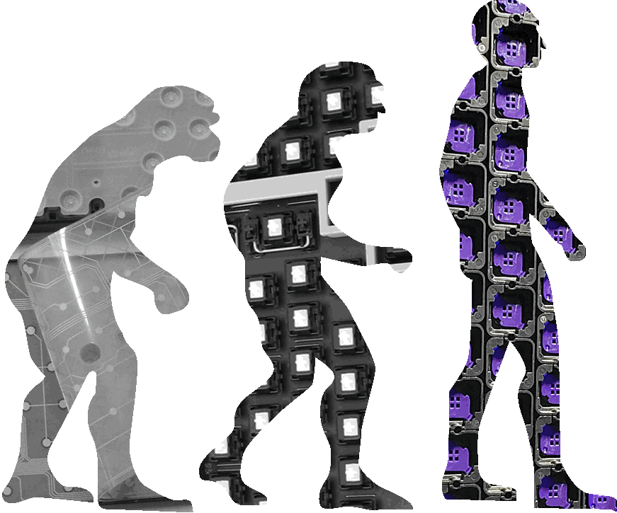 Evolution.gif