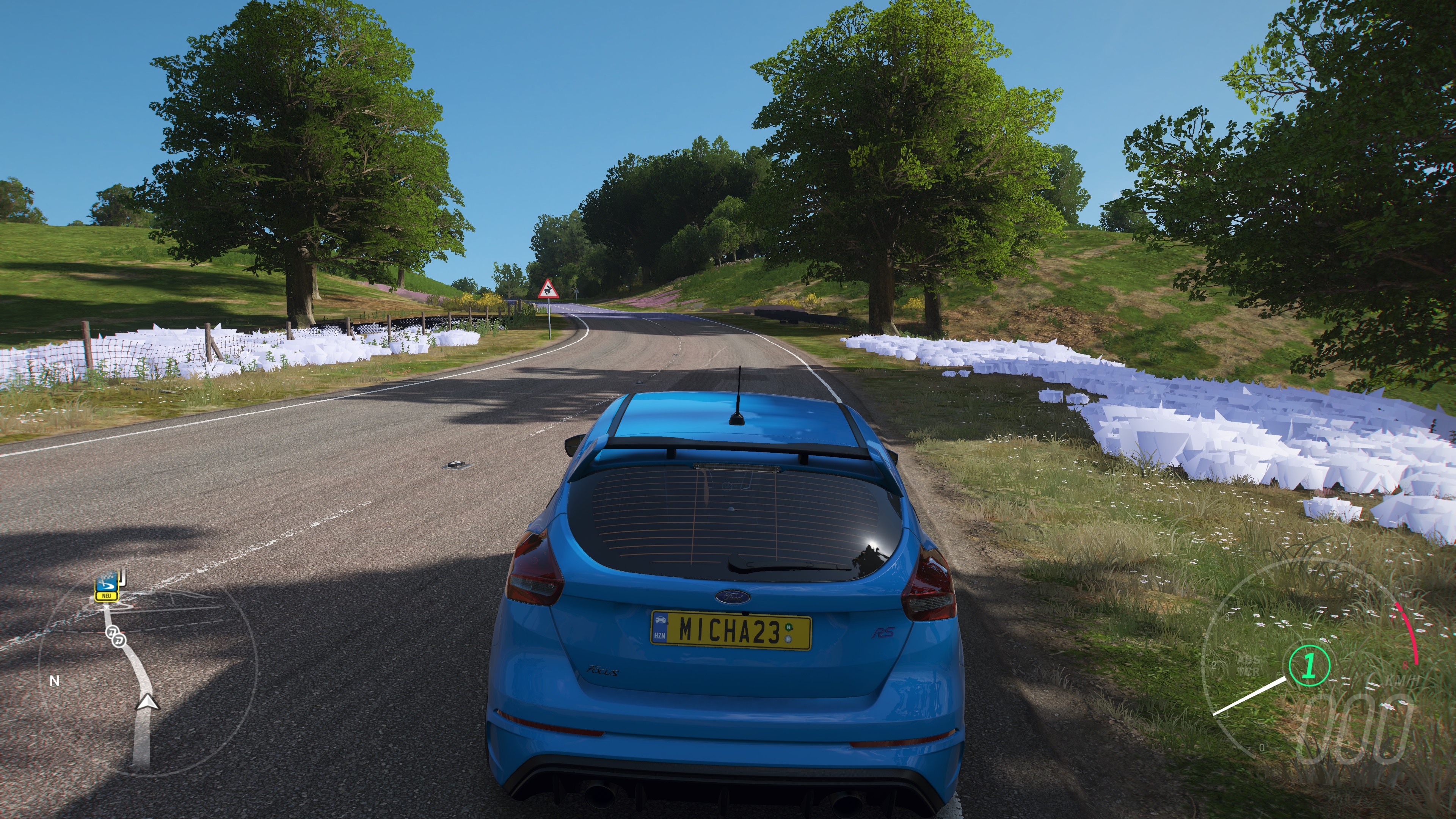 fh4 bug.jpg