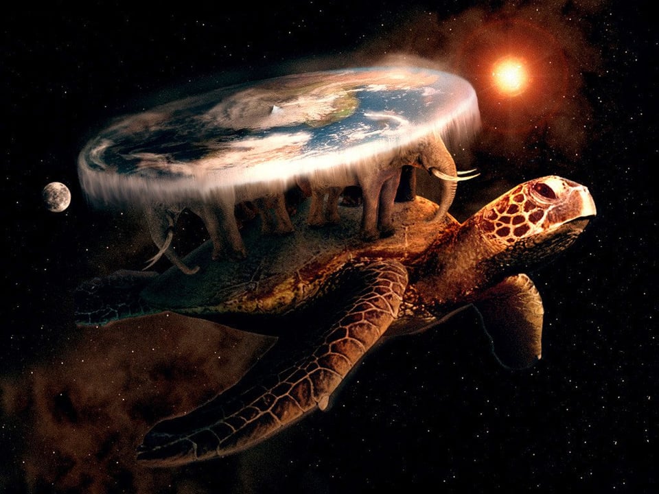 Flat World Turtle totatly real photo non fake.jpg