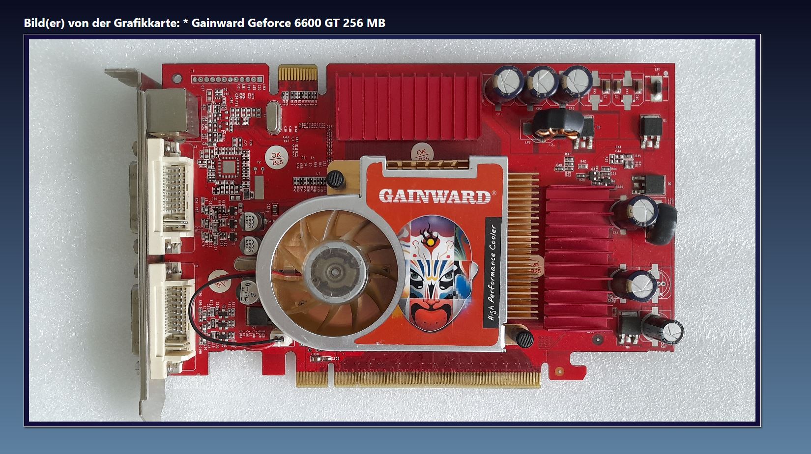 Gainward Geforce 6600 GT 256 MB.JPG