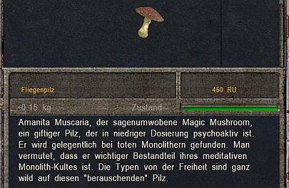 Hagen_Item_Fliegenpilz.jpg