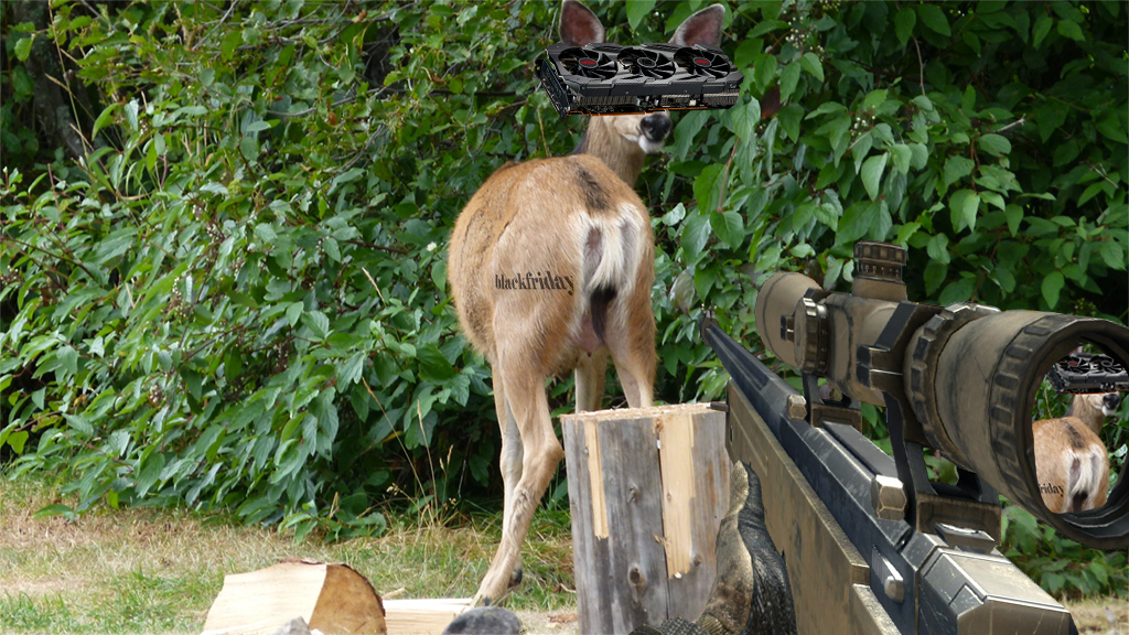 Ich auf der Jagd.