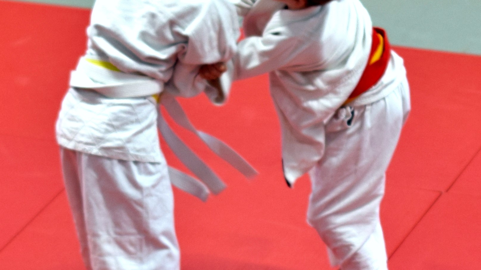 Judo Turnier 2019-10-25 (14-1-2).JPG