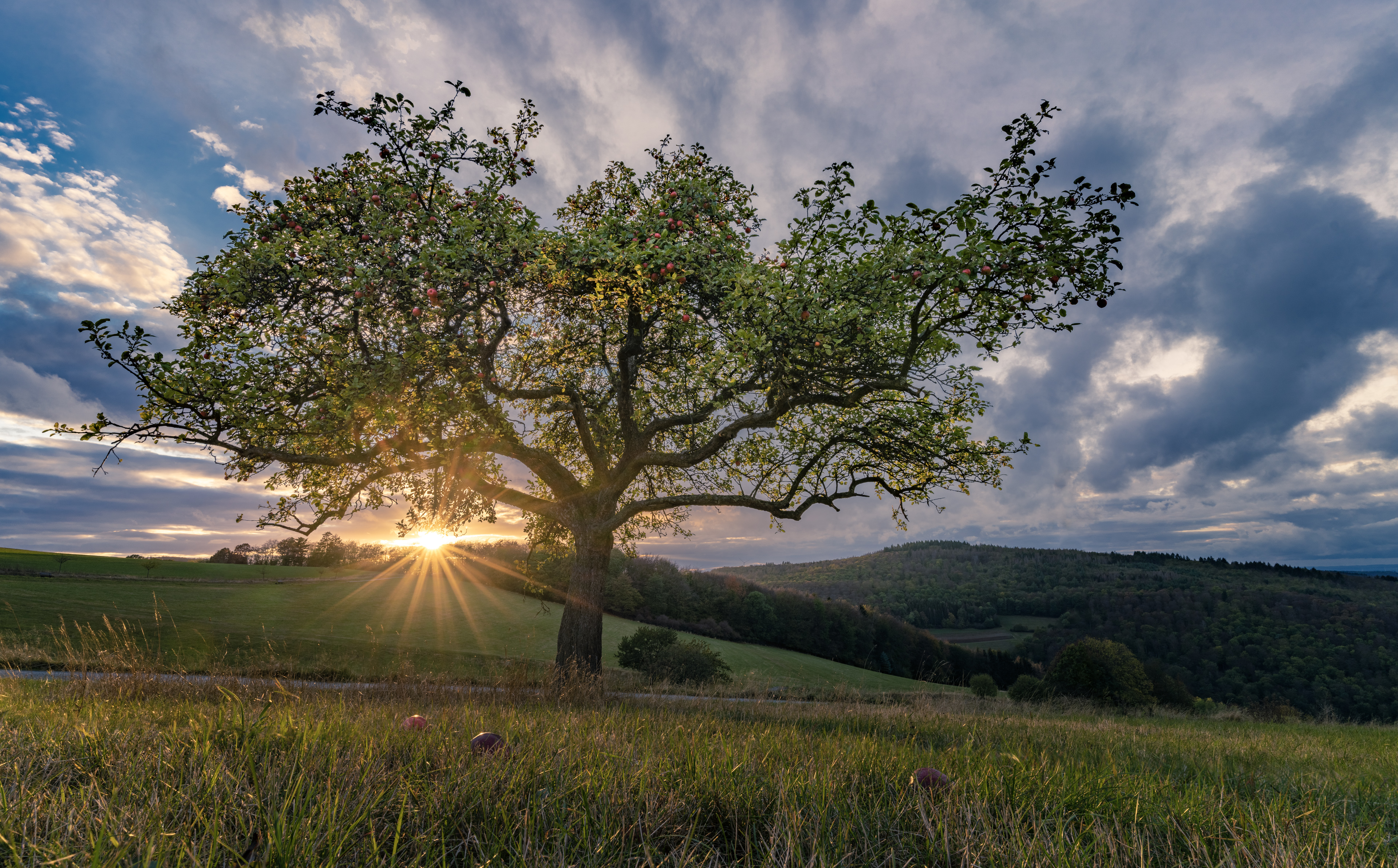 Landschaft-und-Natur010.jpg