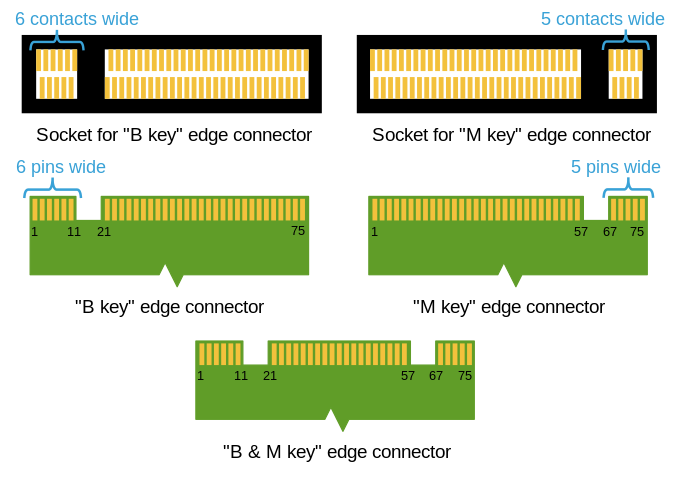 M2_Edge_Connector_Keying.svg.png