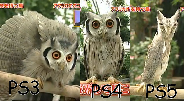 Owl.png