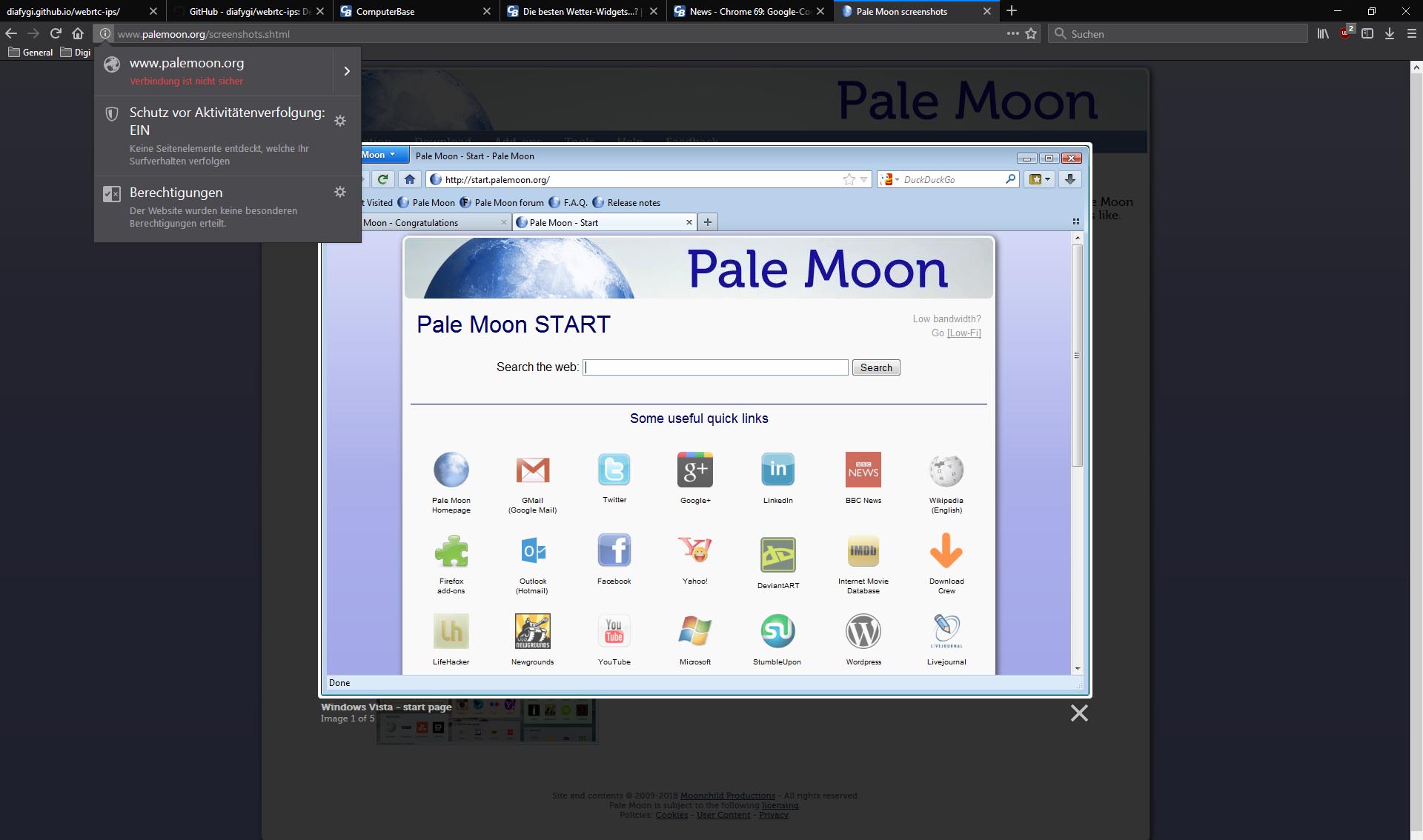 Palemoon_ssl.jpg