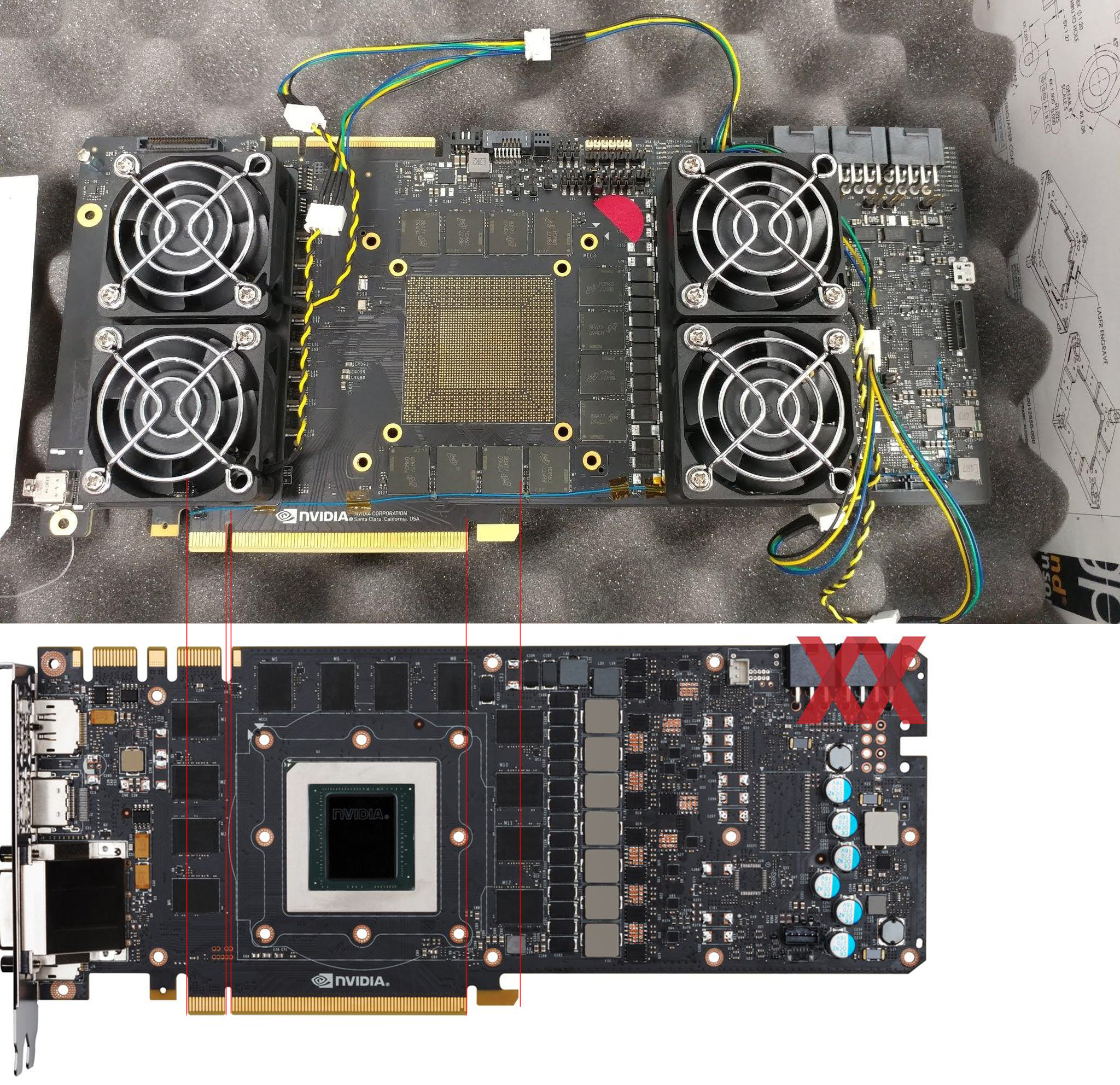 pascal v turing.jpg