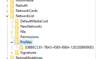 regedit_profiles.png