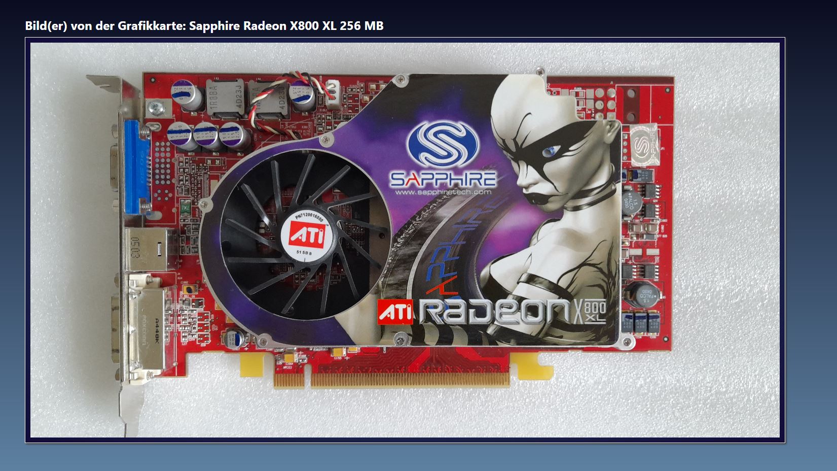 Sapphire Radeon X800 XL 256 MB.JPG