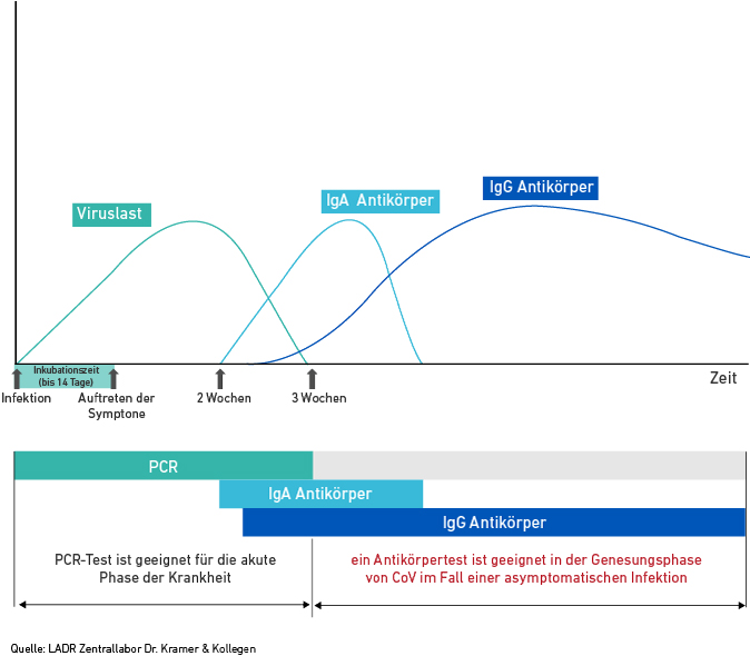 sars-cov-2-antikoerper.jpg