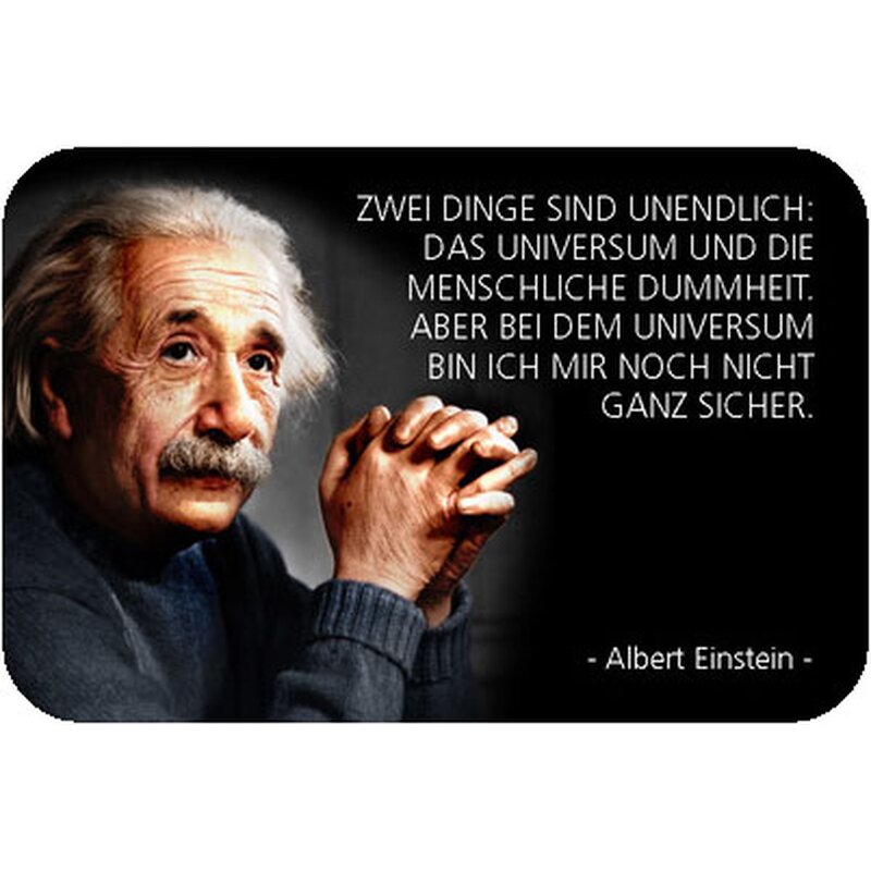 schild-spruch-unendlich-universum-menschliche-dummheit-einstein-20-x-30-cm.jpg