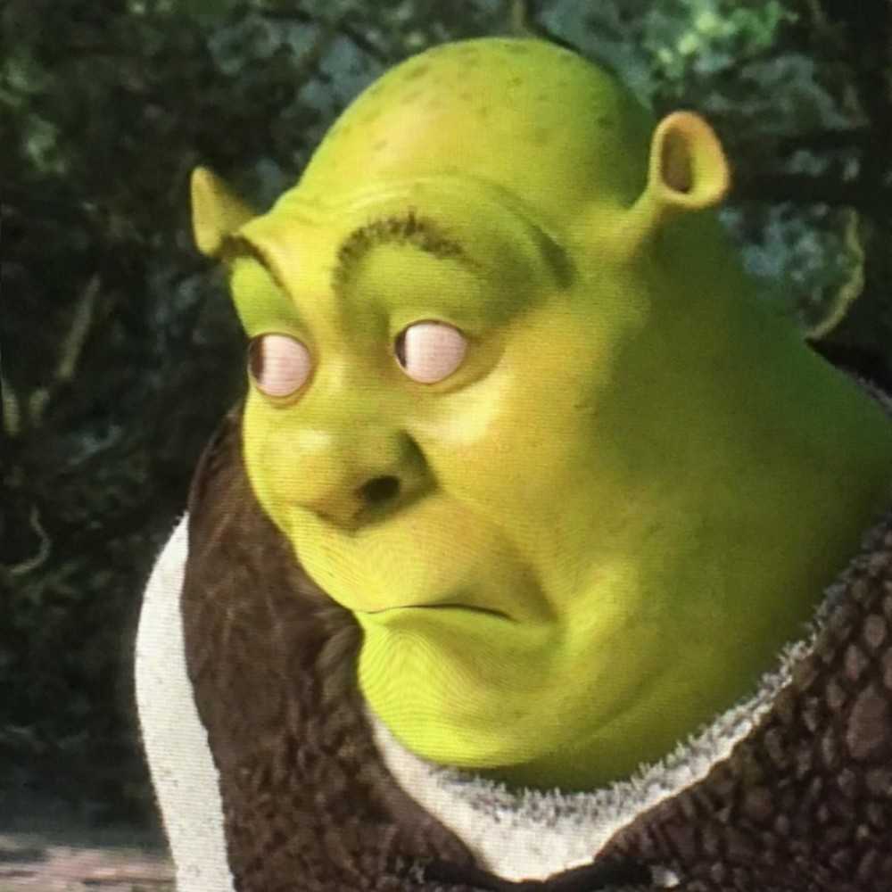 shrek-meme-face-idlememe-1-2789415708.jpg