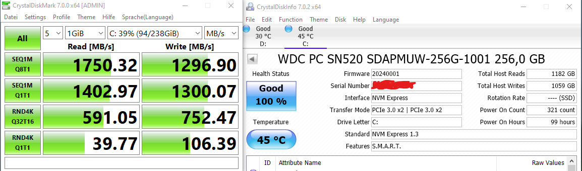 SN520 256GB CDM.png