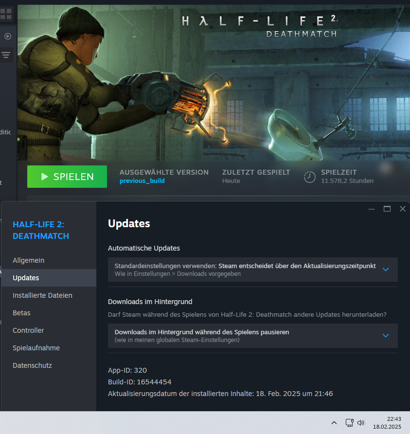 Steam_HL2DM-Update_2025-02-18_22-43_Spiele-Version.png