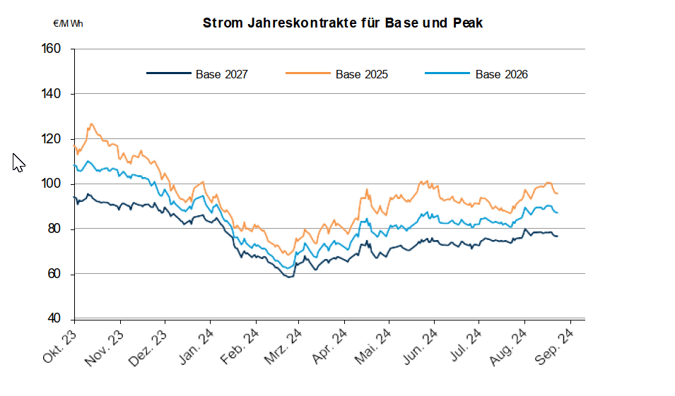 StromMarkt28.8.24.png