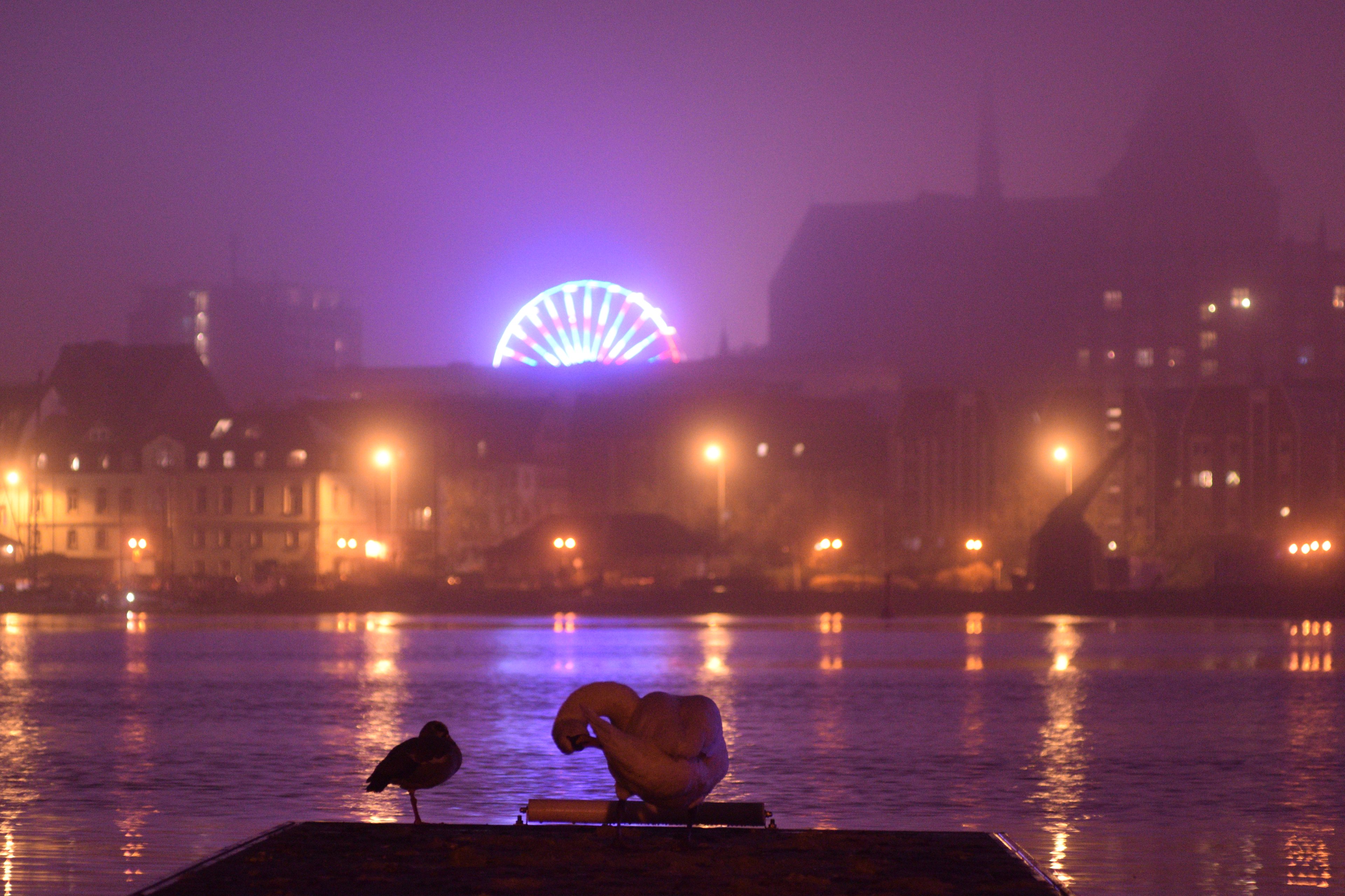 Weihnachtsmarkt 2022-11-26 (16).JPG