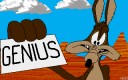 wile_e_coyote.jpg