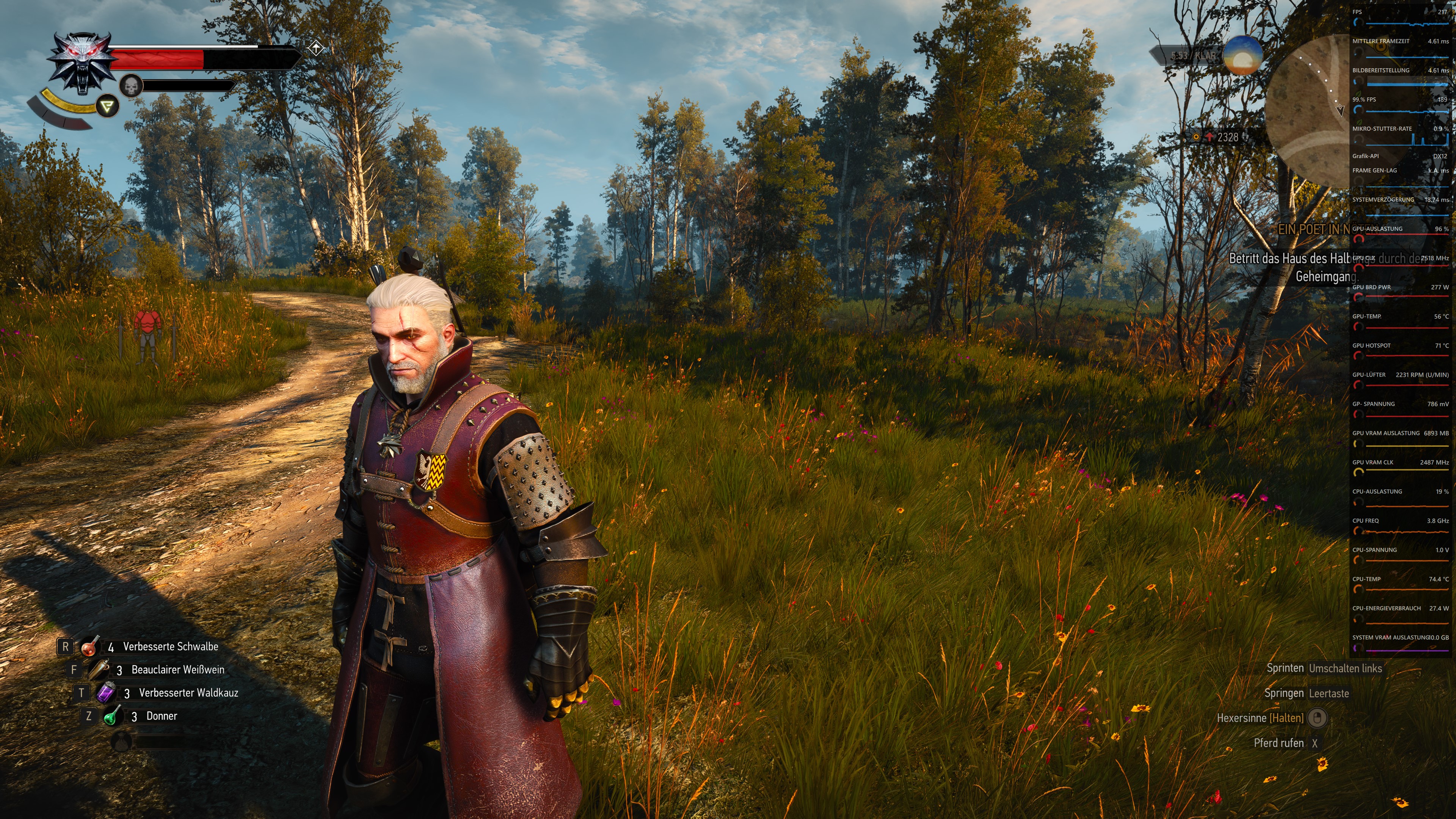 Witcher).jpg