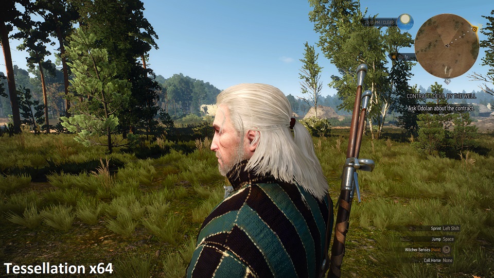 witcher3-2015-05-21-03-24-40-03.jpg