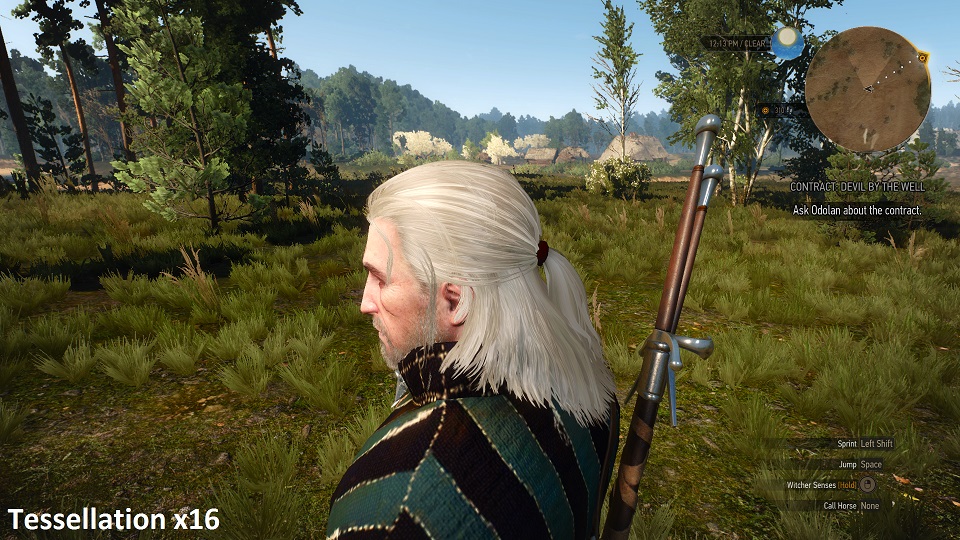 witcher3-2015-05-21-03-26-09-28.jpg