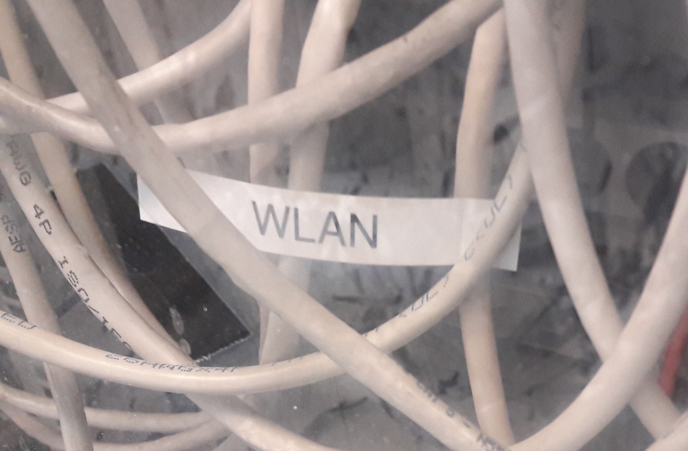 WLAN-Kabel.jpg